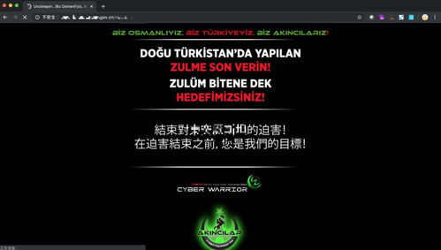 常見網(wǎng)絡(luò)安全風(fēng)險及應(yīng)對策略 聚焦網(wǎng)絡(luò)與信息安全軟件開發(fā)